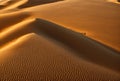 High angle drone shot showcasing the intricate patterns of desert sand dunes. AI generated.