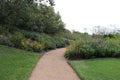 High-angle of a dusty path through grass and plants on both sides