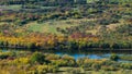 High-angle of a flock of sheep in sunlit colorful wetlands, a river near