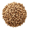 A circular mound of whole dried coriander seeds isolated against a black background Royalty Free Stock Photo