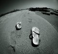 High-angle grayscale view of flip-flops on the sand