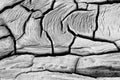 High angle greyscale shot of a stony cracked ground with some traces on it