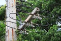 High angle, installation of high voltage poles, electrical systems