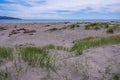 High-angle of Kapiti coast of New Zealand with sand dunes and marran grass, cloudy sky background