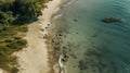 Romantic Aerial View Of Elephants Walking On Beach In Ocean