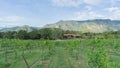 high angle photo Looking from the vineyards to the white villas with orange brick houses. Royalty Free Stock Photo