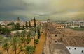 High angle shot of an ancient neighborhood with palm trees in Spain, Cordoba, Alcazar