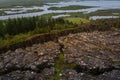 High angle shot of a beautiful fir tree forest near the earth`s fault line in Iceland