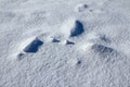 High angle shot of beautiful glowing snow textures - pureness concept