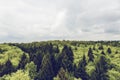 High angle shot of beautiful green trees under the cloudy sky on a sunny day Royalty Free Stock Photo