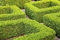 High angle shot of a beautiful maze made from grass and bushes under the sun light Royalty Free Stock Photo