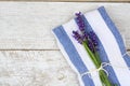 High angle shot of a blue kitchen towel with Lavender flower isolated on the wooden surface Royalty Free Stock Photo