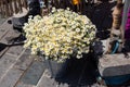 High angle shot of a bouquet of daisy flowers on a bucket in the shop Royalty Free Stock Photo