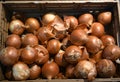 High angle shot of a bunch of onions in a brown box Royalty Free Stock Photo