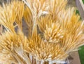 High angle shot of a bundle of dried wheat plant
