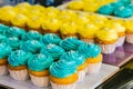 High angle shot of colorful cupcake selection