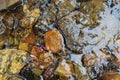 High angle shot of colorful stones in clear water with reflection