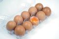 Top view of cracked fresh egg and whole eggs with bright yolk in plastic tray for eggs. Royalty Free Stock Photo