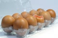 Top view of cracked fresh egg and whole eggs with bright yolk in plastic tray for eggs. Royalty Free Stock Photo