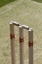 High angle shot of cricket stumps on a green grassy field