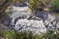 High angle shot of dryland from Rincon de la Vieja Volcano National Park in Costa Rica