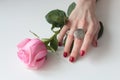High angle shot of a female hand with a beautiful silver ring on a rose with green leaves Royalty Free Stock Photo