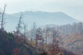 High angle shot of a foggy day in autumn on mountain Medvednica in Zagreb, Croatia Royalty Free Stock Photo