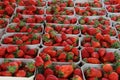 High angle shot of fresh strawberries boxes rows Royalty Free Stock Photo