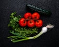High angle shot of fresh wet vegetables near herbs Royalty Free Stock Photo