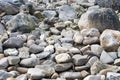 High angle shot of the ground covered with small and large river stones Royalty Free Stock Photo