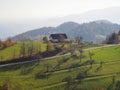 High angle shot of a house on a green field with bare trees on a hillside