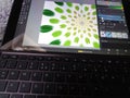 High angle shot of a laptop screen of a graphic designer