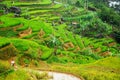 High angle shot of the Mount Gede slope in West Java, Indonesia