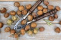 High angle shot of a nutcracker among hazelnuts scattered on a wooden surface