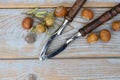 High angle shot of a nutcracker among hazelnuts scattered on a wooden surface