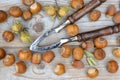 High angle shot of a nutcracker among hazelnuts scattered on a wooden surface