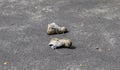 High angle shot of a pair of old shoes abandoned on the asphalt