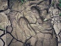 High angle shot of a pair of shoeprints deep in the mud