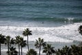 High angle shot of the palms on the shore of the ocean with a few birds in the water on a windy day Royalty Free Stock Photo