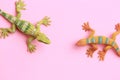 High angle shot of plastic lizard toy miniatures isolated on a color background