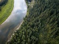 High angle shot of a river surrounded by exotic pine trees