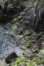 High angle shot of a riverbank with stones covered with algae Royalty Free Stock Photo