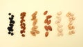 High angle shot of rows of different nuts and seeds on a yellow surface