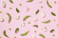 High angle shot of slices of mushroom, green beans, and mint leaves on a pink background