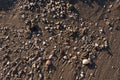 High angle shot of small pebbles and seashells on the wet sand at the beach Royalty Free Stock Photo