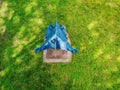 High angle shot of a steel blue sculpture and a green grass