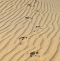 High angle shot of the traces of man on the sand Royalty Free Stock Photo