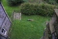 High angle shot of a wild peacock in a green garden Royalty Free Stock Photo