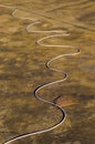 High angle shot of a wire formed like a snake Royalty Free Stock Photo