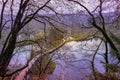 High angle shot of a wooden pathway in Plitvice Lakes National Park in Croatia Royalty Free Stock Photo